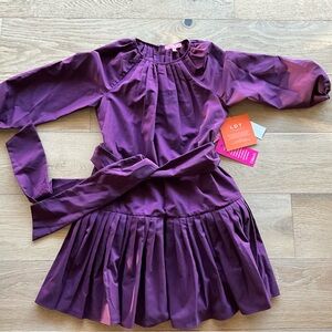 LDT Purple Pleated Long-Sleeve Women’s Dress